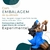 Iemanjá (R) 21 cm - Resina - Umbanda Candomble - loja online
