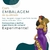 Maria Padilha (R) (R) 23 cm - Resina - Umbanda Candomble - loja online