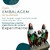 Cosme Damião e Odum - Gesso - Umbanda Candomble - loja online