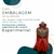 Exu Marabo 3 (R) (V) - Resina - Umbanda Candomble - loja online