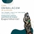 Rosa Caveira 22 cm - Gesso - Umbanda Candomble - loja online