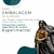 Imagem do Exu Guardião (R) - Resina - Umbanda Candomble