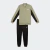 Conjunto Puma Poly Baseball Suit