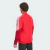 Campera Adidas River Plate Presentacion 26 27 Hombre - comprar online
