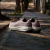 Zapatilla Adidas Response Runner 2 Unisex en internet