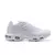 Air Max Plus TN 1 “Triple White”