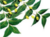 Neem DH6 - homeopatia 30mls