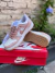 Dunk SB Low Glitter Pink - Vanico Calzados