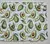 Palta