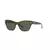 Anteojo de sol Vogue 5445S 300371