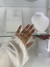 Anillo Azia