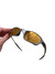 Juliet Chumbo - Lentes Gold Cafe - comprar online
