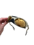 Plantaris Matte Sand - Lentes Gold Café - comprar online