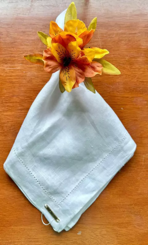 PORTA GUARDANAPO ASTROMELIA AMARELA/TERRACOTA