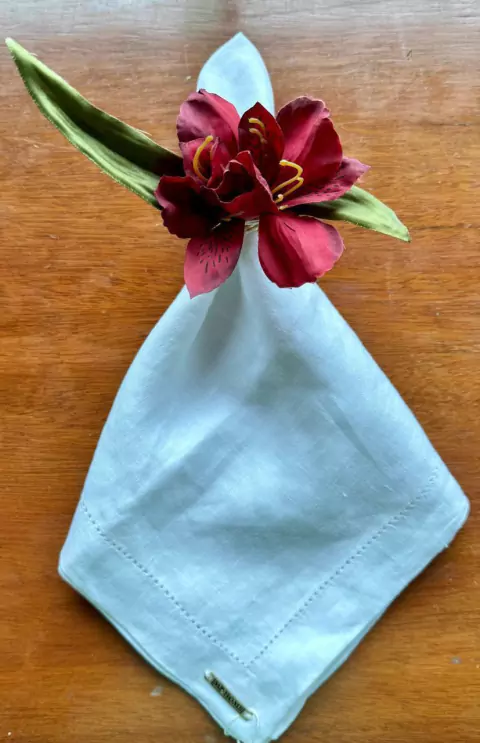 PORTA GUARDANAPO ASTROMELIA MARSALA