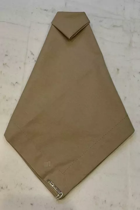 GUARDANAPO CASTOR ALGODAO 50X50CM