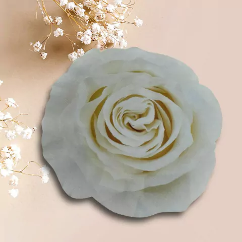 LUGAR AMERICANO CORTE A LASER ROSA AMARELA 45X45CM