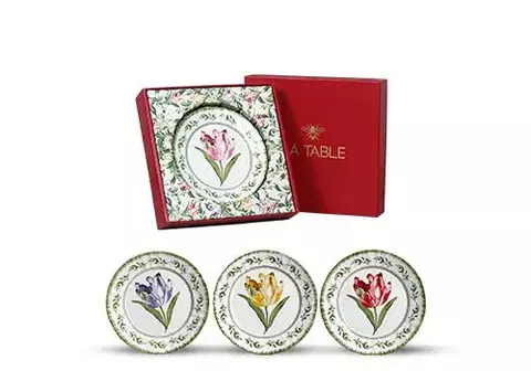 CONJUNTO 4 PRATOS RASOS TULIPAS