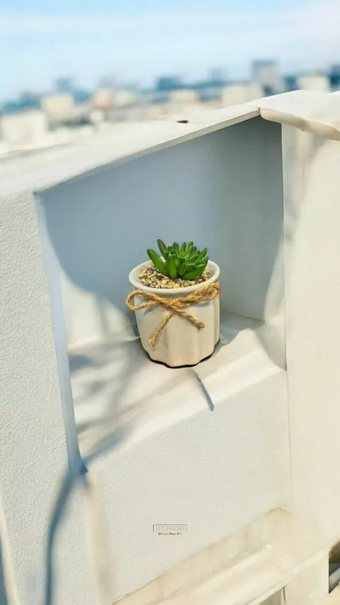 VASO COM SUCULENTA EM DOLOMITA E PLASTICO D95XA13CM COR CINZA