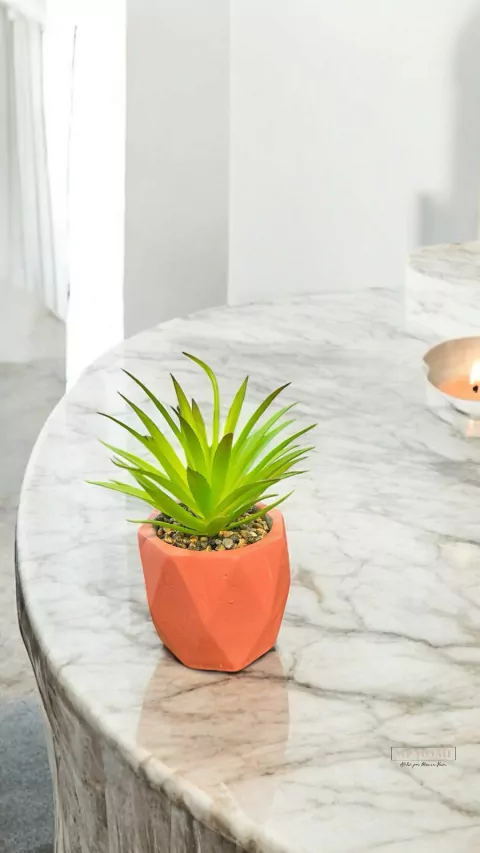 CACHEPOT DE CIMENTO C/SUCULENTA DIAMOND SALMAO 10CM X 17CM