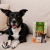 Mini Palitinho Bovino Natural para Cães Pequenos - Natuka 10 unidades na internet