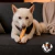 Yak Chews Médio Luv Petiscos — Queijo de Yak do Himalaia para Cães