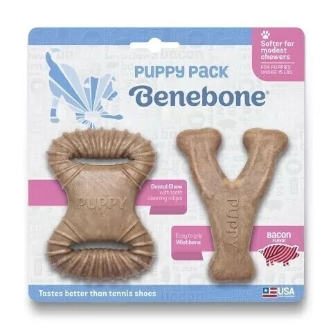 Benebone Filhote Wishbone/Dental - Sabor Bacon