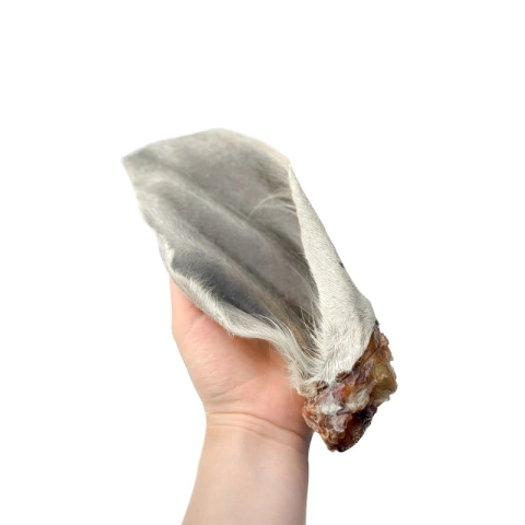 Orelha Bovina Inteira Luv