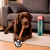 Mordedor Natural P/ Cães - Vergalho Bovino Super Jumbo ~30cm - Pick & Chew - comprar online