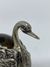 CISNE DE PRATA COM PEDRA MARROM - Coisas de Família