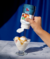 Calda Para Sobremesa Sabor Caramelo - Mrs Taste - comprar online