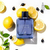 MAÎTRE DE BLUE MAISON ALHAMBRA EAU DE PARFUM 100ML na internet