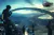 Poster Cartaz Jogo Final Fantasy XV A