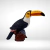 TUCANO PQ NO TRONCO