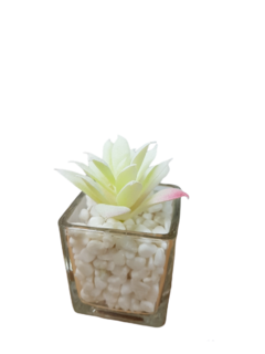 Imagen de Pack X12 Plantas Artificial en Maceta Vidrio Cactus Suculenta