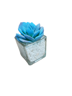 Pack X12 Plantas Artificial en Maceta Vidrio Cactus Suculenta en internet
