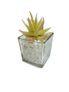 Pack X12 Plantas Artificial en Maceta Vidrio Cactus Suculenta