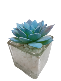 Pack X12 Plantas Artificial en Maceta Vidrio Cactus Suculenta - comprar online