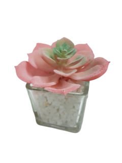 Pack X12 Plantas Artificial en Maceta Vidrio Cactus Suculenta en internet