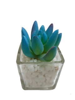 Pack X12 Plantas Artificial en Maceta Vidrio Cactus Suculenta - AFSTORE