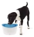 Fuente bebedero 6lts - comprar online