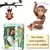 Little Caco - Macaco bêbê na internet