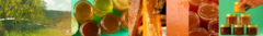 Banner da categoria Mel 
