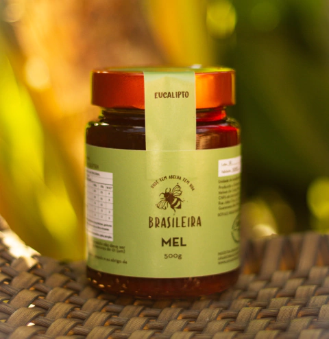 Mel Eucalipto - 500g - comprar online