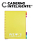 Divisórias Colorcode Grande 10 Matérias Caderno Inteligente na internet