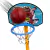 CESTA BASQUETE INFANTIL 1,25M - comprar online