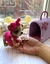 Receita Chihuahua na Bolsa Amigurumi - PDF - comprar online