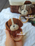 Receita Chocalho Cachorro Amigurumi - PDF - comprar online