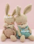 Receita Coelho Honey Amigurumi - PDF - comprar online