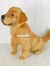 Receita Cachorro Golden Retriver Amigurumi - PDF - comprar online